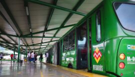 Megabús S.A ya tiene la política para el transporte de mascotas en el sistema integrado de transporte masivo