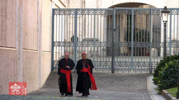 Vatican News