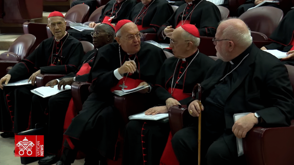 Foto / Vatican News
