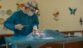 Hospital Público Veterinario realizará 12.000 esterilizaciones en el 2026 y consolida a Pereira como modelo nacional en bienestar animal