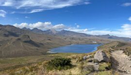 Risaralda fortalece la protección del agua con la adquisición de 250 hectáreas