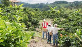 Risaralda presente en encuentro regional del Paisaje Cultural Cafetero