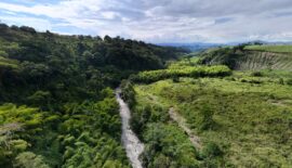 Publican licitación para construir la PTAR Pereira–Dosquebradas tras más de 20 años de espera