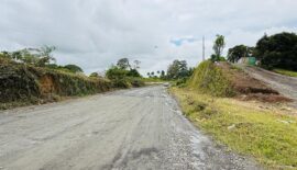 Comenzó la cuenta regresiva de la licitación para la construcción de la fase I de la avenida Los Colibríes