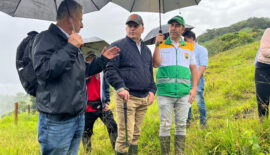 Obra de bioingeniería en Marsella garantiza estabilidad del suelo y protege el abastecimiento de agua