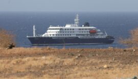 España acogerá en Canarias a embarcación con brote de hantavirus y al médico en estado grave