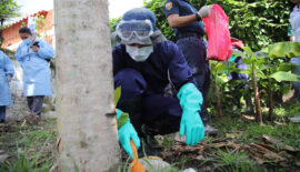 CARDER y Masbosques capacitan a comunidad de Irra sobre control del caracol gigante africano