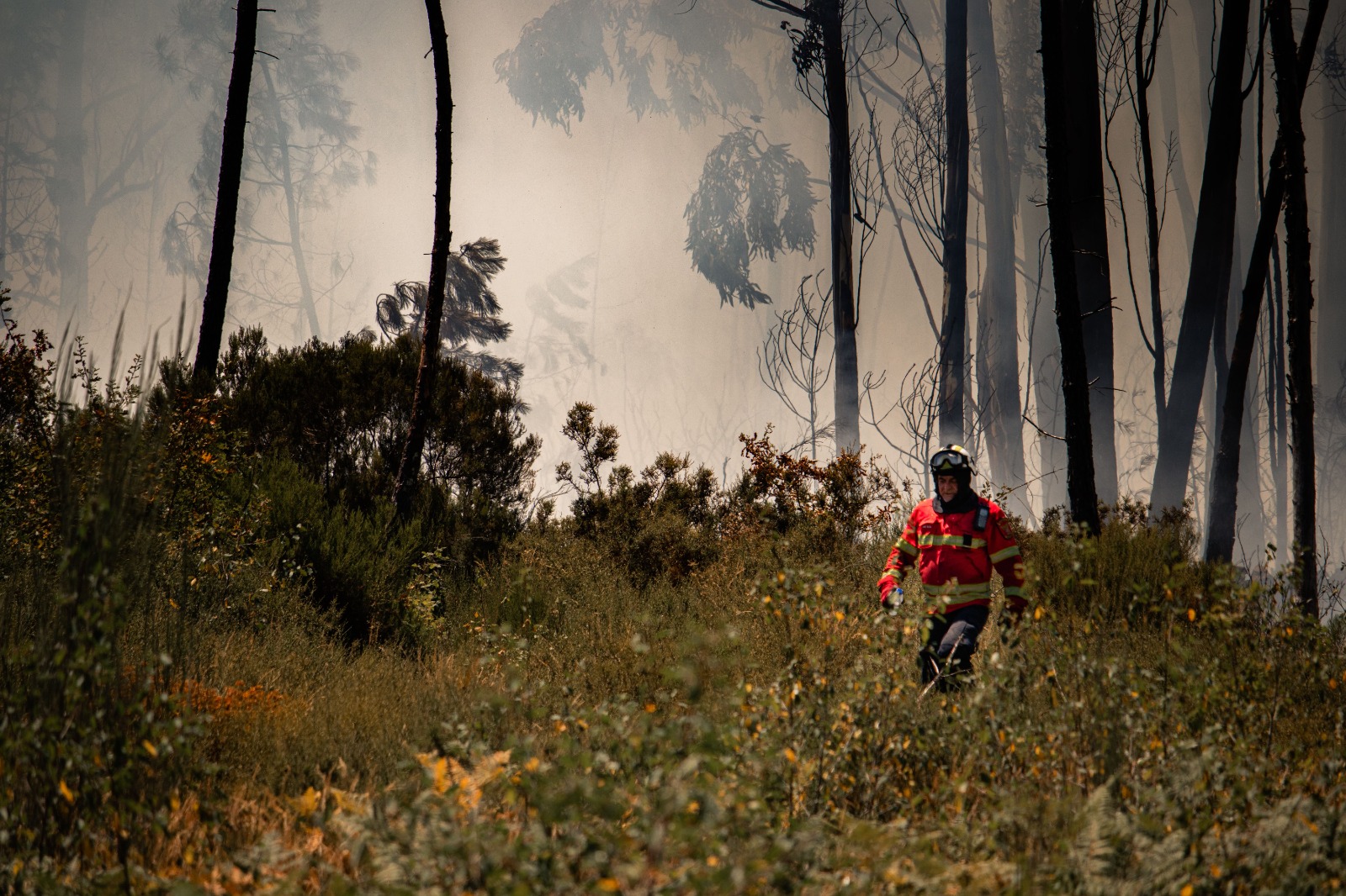 Fenómeno de El Niño podría afectar la movilidad de mercancías y elevar los costos logísticos en Colombia