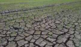 Pereira fortalece acciones de preparación ante la llegada del fenómeno de El Niño