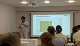 Nuevas oportunidades de financiamiento fortalecieron capacidades para la gestión ambiental y la conservación de la biodiversidad