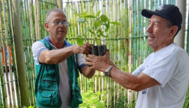 La CARDER invita a la ciudadanía a solicitar árboles para sembrar en sus barrios y comunidades