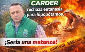 ​🚨 "&iexcl;ES UNA MATANZA!" | Director de la CARDER rechaza la eutanasia de hipop&oacute;tamos en Colombia 🦛🇨🇴​