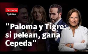 &ldquo;PALOMA Y TIGRE: si pelean, gana Cepeda&rdquo;, por Salud Hern&aacute;ndez-Mora